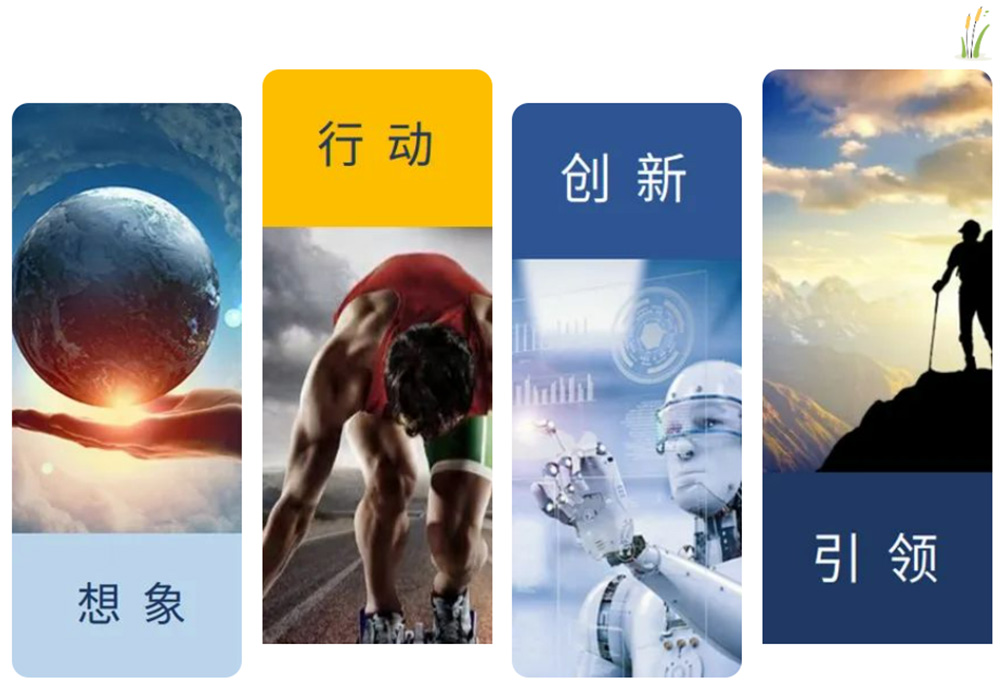 未标题-4.jpg